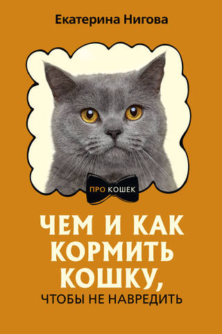 Чем и как кормить кошку, чтобы не навредить