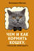 Чем и как кормить кошку, чтобы не навредить