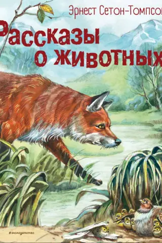 Animal Stories