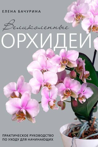 Великолепные орхидеи. Практичное руководство по уходу для начинающих