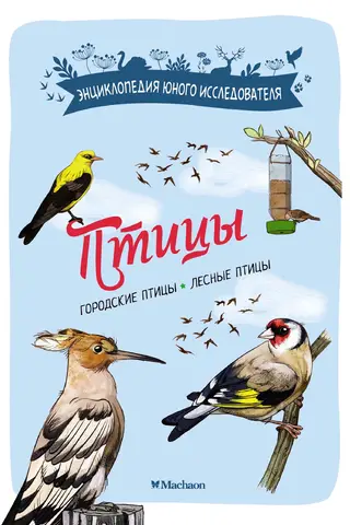 Birds. City birds. Forest birds.