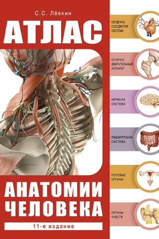 Cilvēka anatomijas atlants