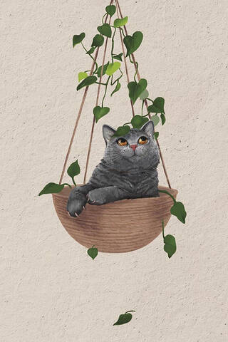 Postcard. Cat in a hanging pot.