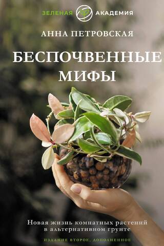Groundless Myths: Giving Houseplants a New Life in Alternative Soil