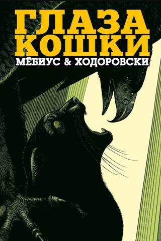 Глаза кошки