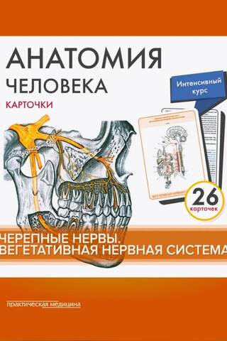 Анатомия человека. Карточки. Черепные нервы. Вегетативная нервная система