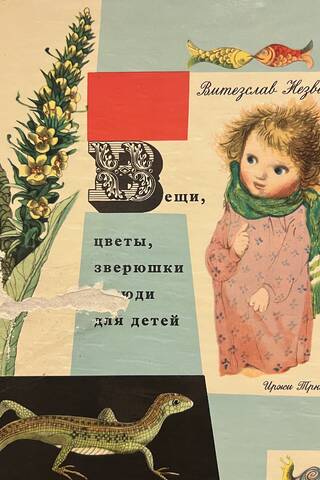 Вещи, цветы, зверюшки и люди для детей