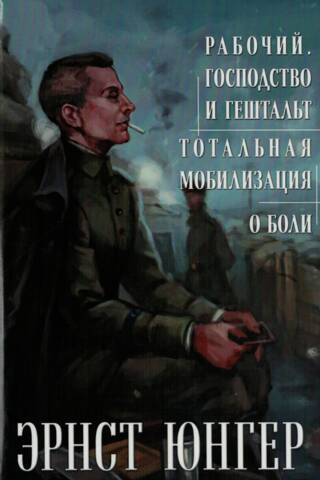 Worker. Domination and Gestalt. Total Mobilization. About Pain