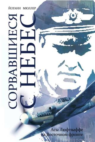 Сорвавшиеся с небес. Асы Люфтваффе на Восточном фронте