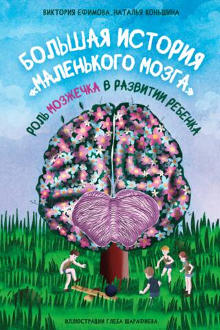 Большая история «маленького мозга»: Роль мозжечка в развитии ребенка