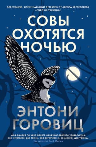 Owls hunt at night