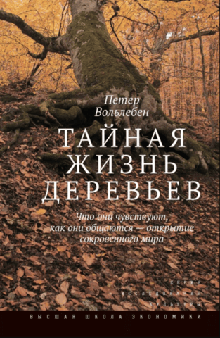 The Secret Life of Trees: What They Feel, How They Communicate—Discovering a Hidden World