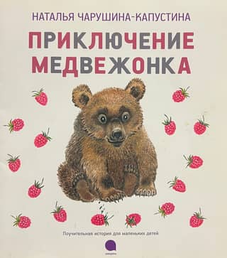 The Adventures of the Little Bear