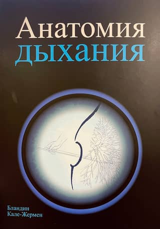 Анатомия дыхания