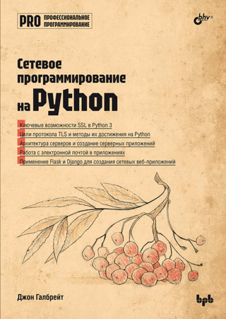 Professional Programming. Network Programming in Python