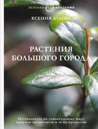 Plants of the Big City: A Guide to the Amazing Natural World of Cities and Beyond