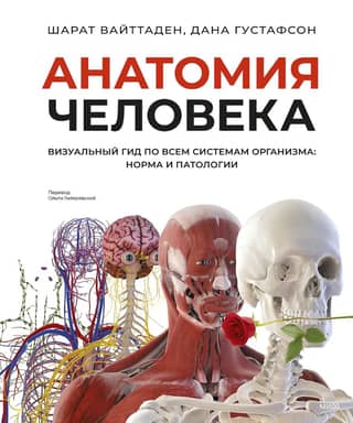 Human Anatomy. A Visual Guide to All Body Systems: Normal and Abnormal