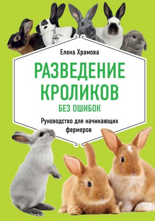 Breeding Rabbits Without Mistakes: A Beginner's Guide