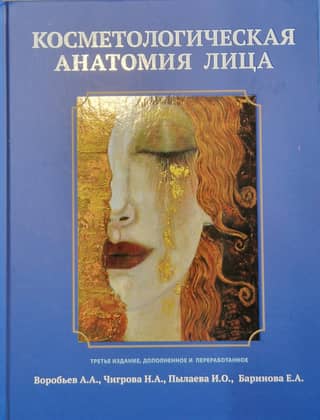 Cosmetological anatomy of the face