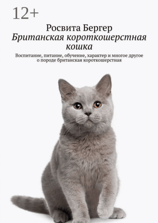 British Shorthair Cat: Care, Nutrition, Training, Personality, and More About the British Shorthair Breed