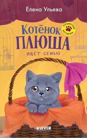 Plush the kitten is looking for a family.