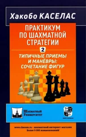 Chess Strategy Workshop 2. Typical Techniques and Maneuvers: Combining Pieces