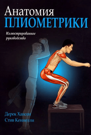 Anatomy of plyometrics