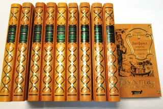 Siegfried: King of Champions. In 10 volumes.