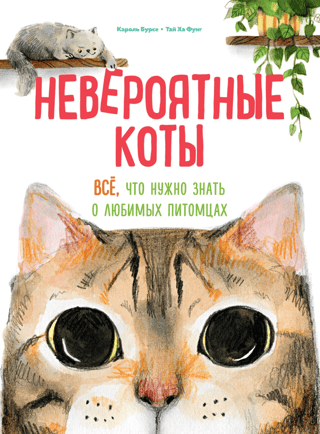 Incredible Cats: Everything You Need to Know About Your Favorite Pets