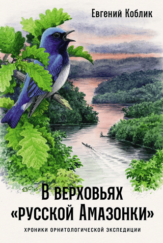 In the headwaters of the "Russian Amazon": Chronicles of an ornithological expedition