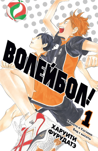 Volleyball! Book 1: Hinata and Kageyama: A View from Above