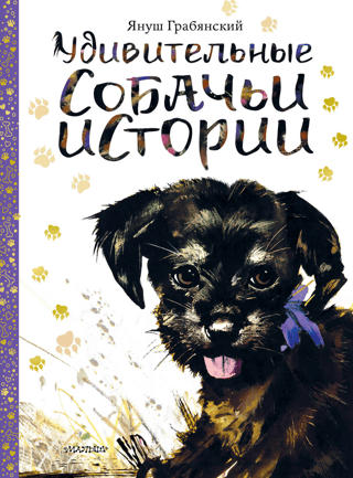 Amazing dog stories