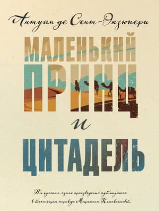 The Little Prince and the Citadel