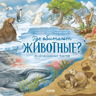 Where do animals live?