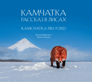 Kamchatka. A Story in Foxes