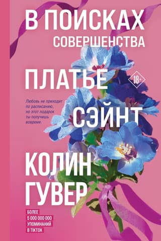 Pilnības meklējumos: stāstu krājums