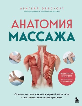 Massage Anatomy: Basics of Lower and Upper Body Massage with Anatomical Illustrations