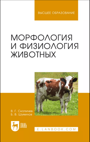 Morphology and physiology of animals