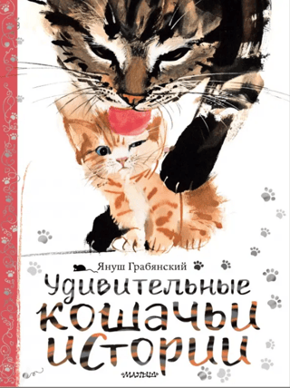 Amazing cat stories