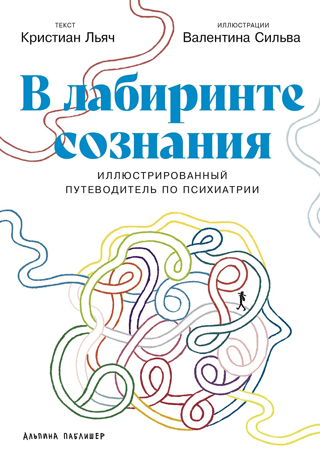 In the Labyrinth of Consciousness: An Illustrated Guide to Psychiatry