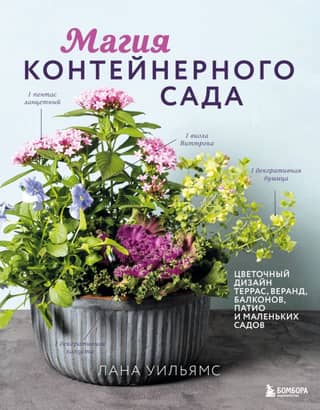The Magic of Container Gardening: Floral Designs for Terraces, Verandas, Balconies, Patios, and Small Gardens