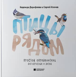 Birds Nearby: A Simple Guide for Adults and Children