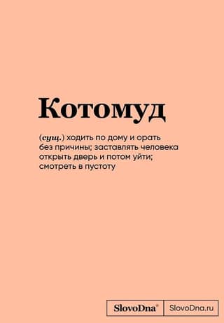 Kotomud. SlovoDna Notebook