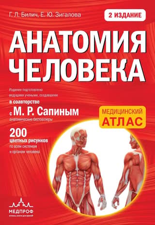 Cilvēka anatomija