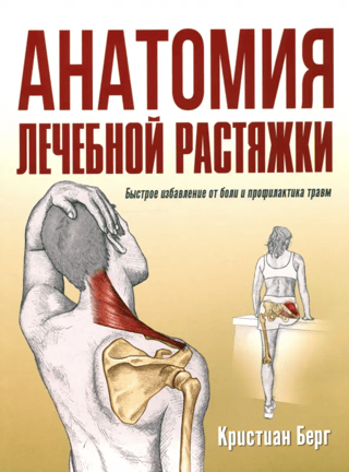 The Anatomy of Therapeutic Stretching: Quick Pain Relief and Injury Prevention