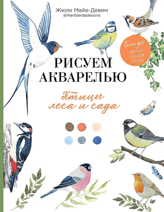 Watercolor Painting: Birds of the Forest and Garden