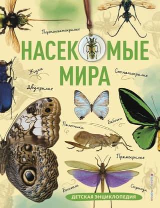 Insects of the World: A Children's Encyclopedia