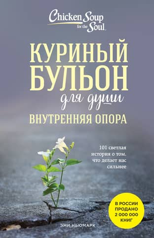 Chicken Soup for the Soul. Inner Support. 101 Inspiring Stories About What Makes Us Stronger