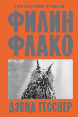 Flaco the Eagle Owl: The Story of the World's Most Famous Bird