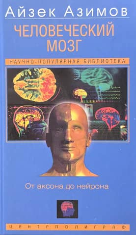 The Human Brain: From Axon to Neuron